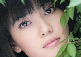 高圆圆靓丽桌面壁纸