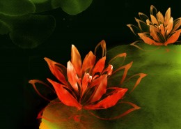 花卉设计插画桌面壁纸