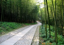 城市旅游-西湖风景桌面壁纸