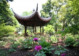 杭州六和塔 牡丹花展桌面壁纸