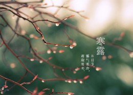 二十四节气之寒露桌面壁纸