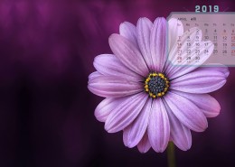 2019年4月日历桌面壁纸