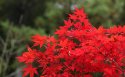六甲山壁纸图片