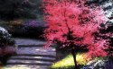 温馨田园壁纸图片