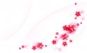 色彩壁纸图片