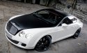 Continental GT Speed轿车桌面壁纸