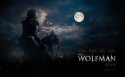 The Wolf Man壁纸图片