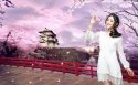 妩媚美女桌面壁纸