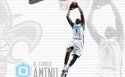 黄蜂队 2011-12赛季NBA桌面壁纸