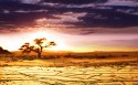 沙漠戈壁风景桌面壁纸[2560x1920]