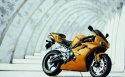 06款Triumph Daytona 675摩托桌面壁纸