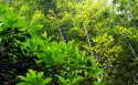 贵州赤水竹海国家森林公园风景桌面壁纸