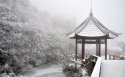 四川峨眉山风景桌面壁纸