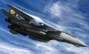 F-14雄猫式战斗机桌面壁纸