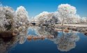 冬季雪的景观唯美桌面壁纸