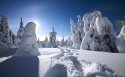 《冬雪》Windows 7主题风光风景桌面壁纸