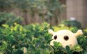 蜗弟卡通桌面壁纸 