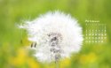 2014年2月月历桌面壁纸