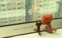 《米各说》动漫桌面壁纸