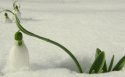 浪漫雪景桌面壁纸