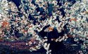 日本东京樱花风景桌面壁纸