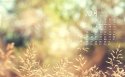 2014年10月月历桌面壁纸