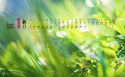 2015年日历桌面壁纸
