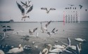 2015年5月月历海边风景桌面壁纸