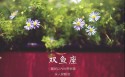 双鱼座桌面壁纸