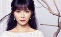 美女主持人沈梦辰桌面壁纸