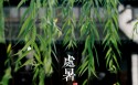 青简版二十四节气桌面壁纸