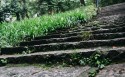 森林公园壁纸图片