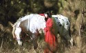 红衣美女与白马桌面壁纸