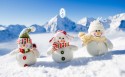 二十四节气大雪简约桌面壁纸