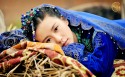 电视剧《风中奇缘》刘诗诗桌面壁纸