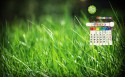 2015年10月壁纸图片