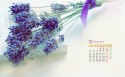 2016年12月唯美日历桌面壁纸