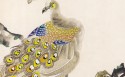 手绘国画鸟类桌面壁纸