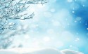 唯美雪景桌面壁纸
