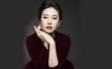 美女演员贾晓晨桌面壁纸
