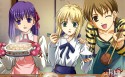 《Fate/stay night》命运之夜动漫桌面壁纸
