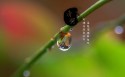 2016清明节桌面壁纸