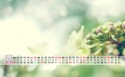 2016年8月风景日历桌面壁纸