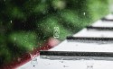 二十四节气雨水景色桌面壁纸