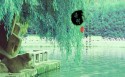 踏青节壁纸图片