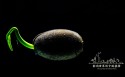 《影响世界的中国植物》纪录片桌面壁纸