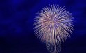 夜空中唯美的烟花风景桌面壁纸