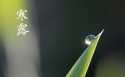 24节气之一寒露桌面壁纸