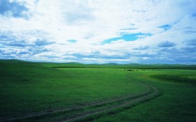 草原风景桌面壁纸