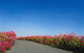 道路 风景桌面壁纸